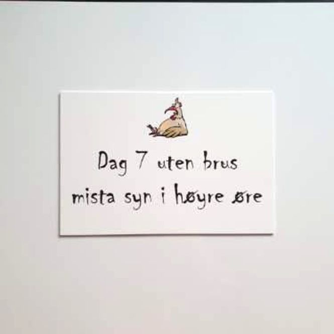 Hovedbilde 7. dag uten brus