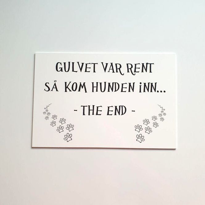 Hovedbilde Hunden var her